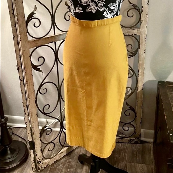 Pinup Couture Dresses & Skirts - 💠PinupGirl Skirt Dixiefried by Pinup Couture